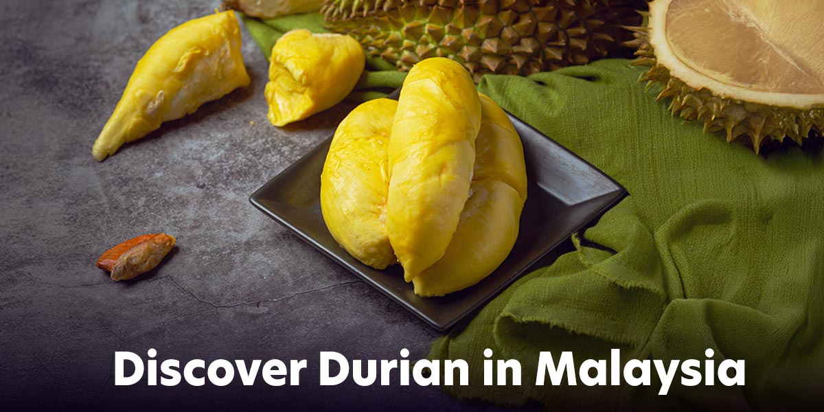 Discover Durian in Malaysia