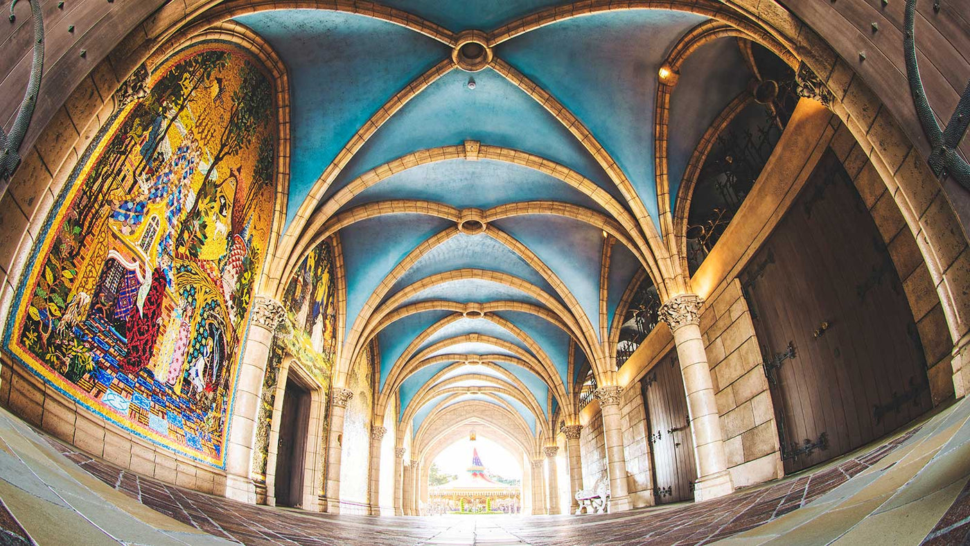 mainL_02.jpg