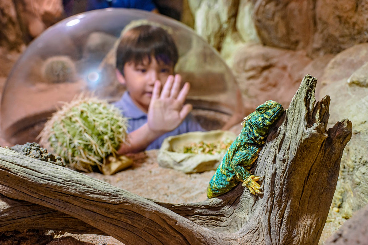 Singapore Zoo
