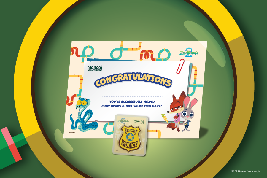 SZ Zootopia 2 Activity Images_Badge & Cert_900x600.png