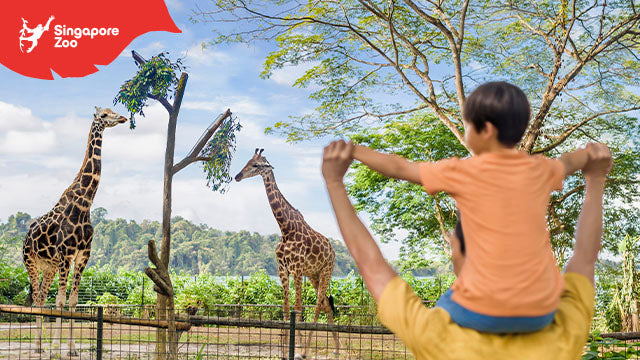 Singapore Zoo