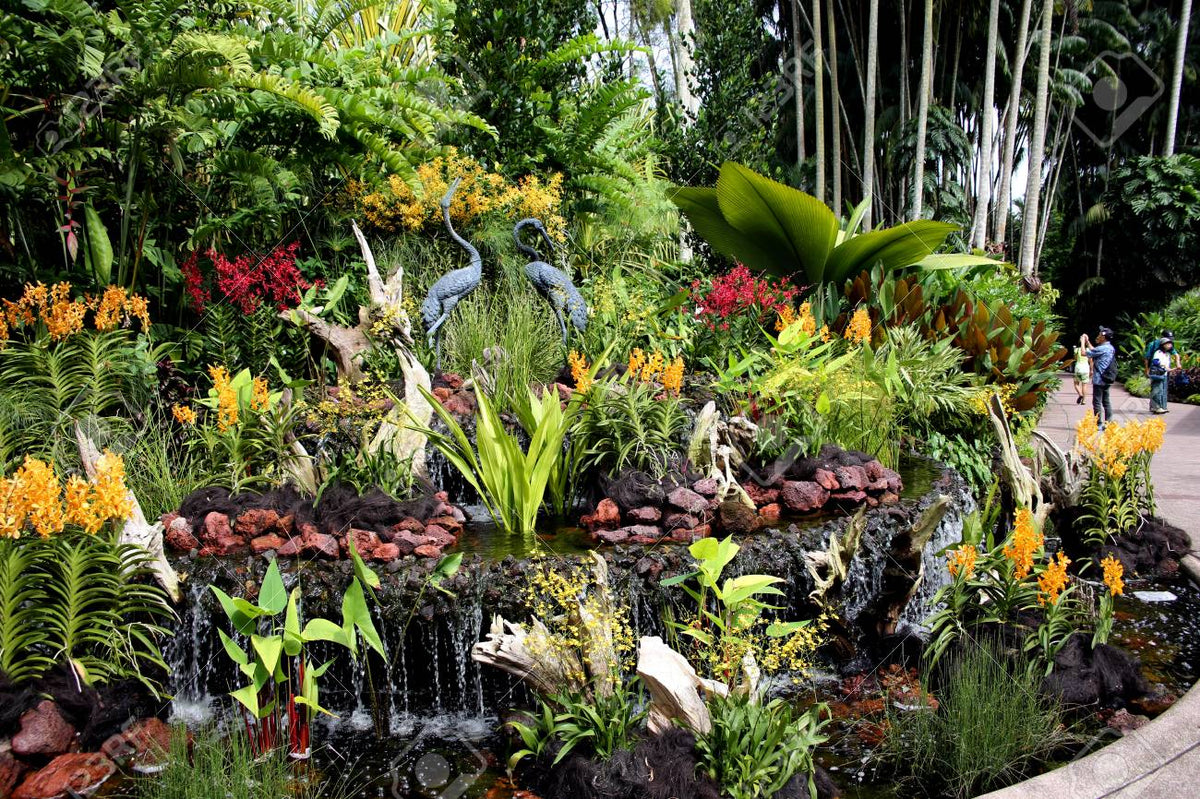 National Orchid Gardens