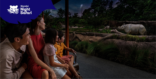 Night Safari