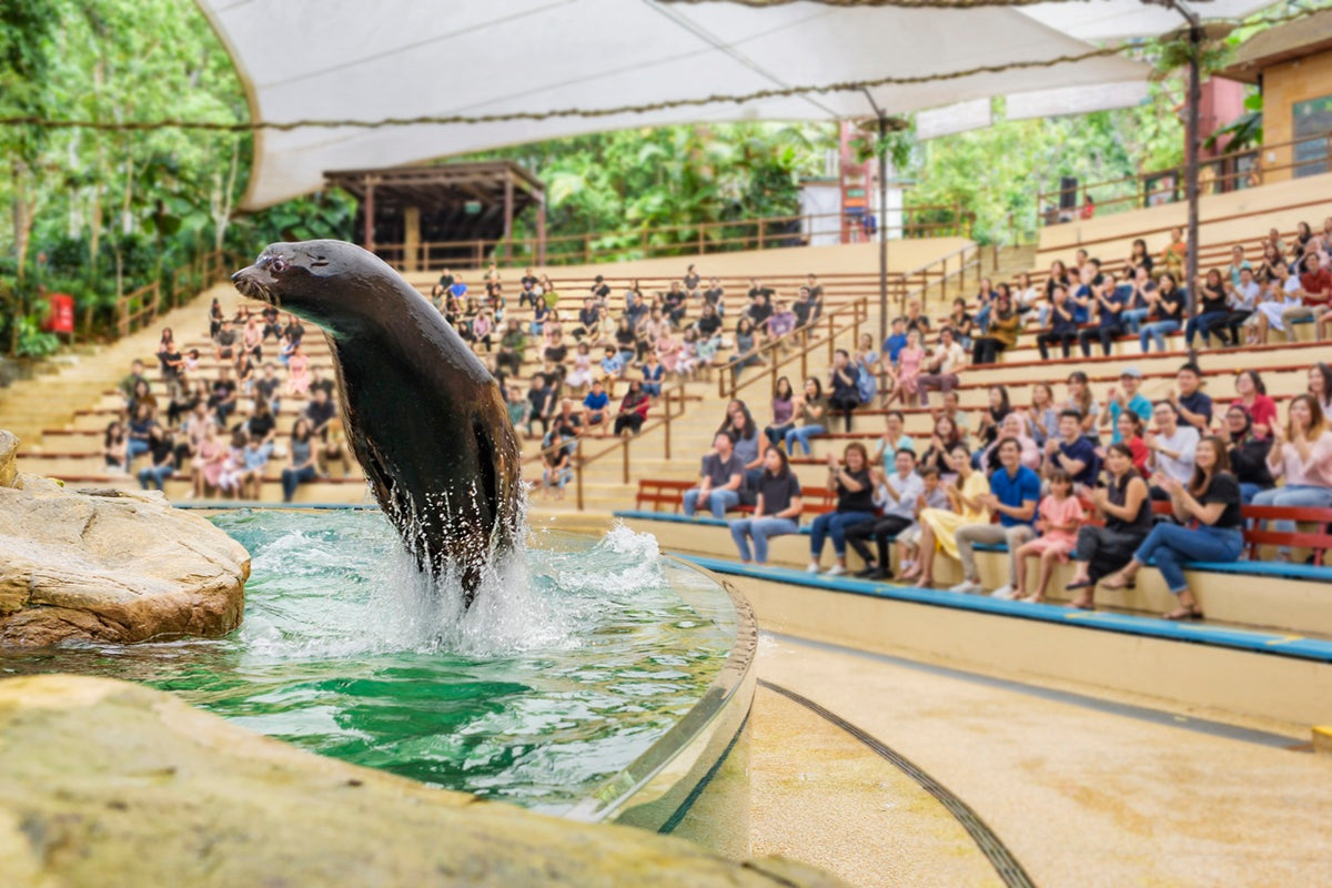 Singapore Zoo