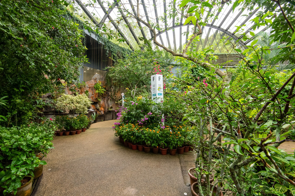 A planted path curving through the glass-roofed garden, lined with potted flowers.