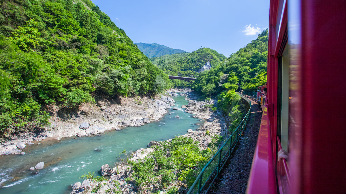 Kyoto, Nara, Fushimi Inari Shrine, Arashiyama Day Trip