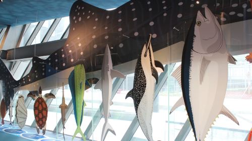 National Museum of Marine Science and Technology