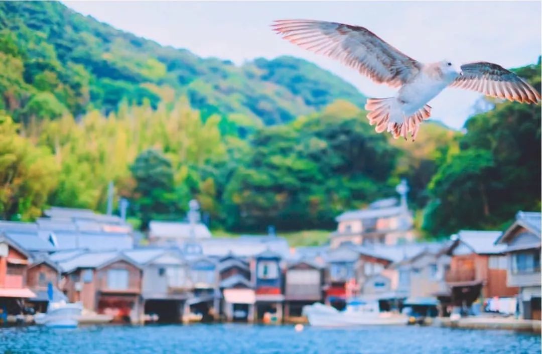 Amanohashidate and Ine Funaya Day Tour