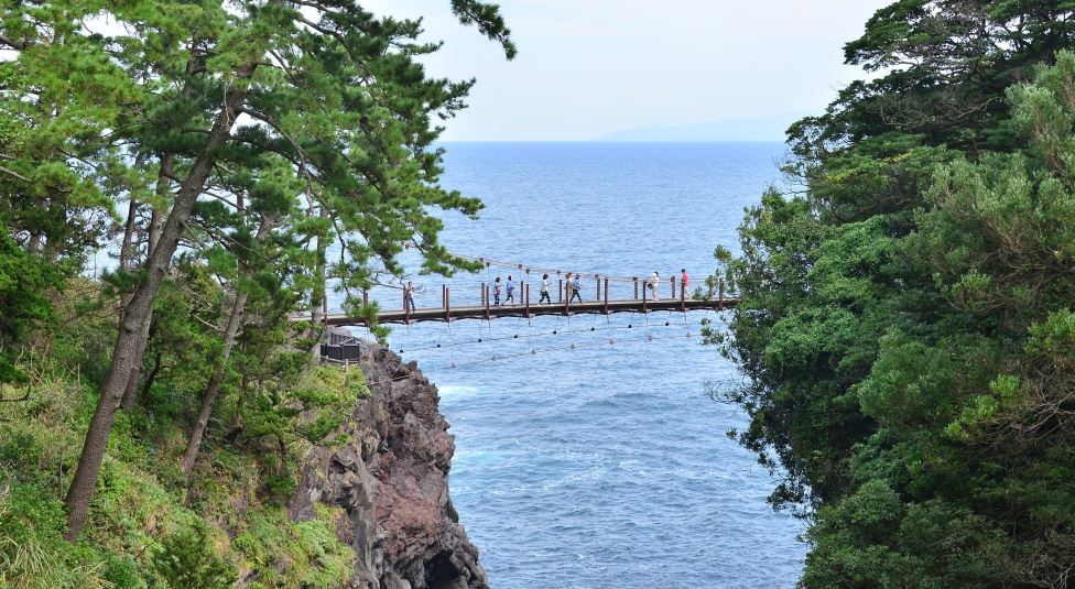 Izu Day Tour from Tokyo: Atami Coast Road, Mount Omuro and Jogasaki Coast (Chinese and Japanese Guide)