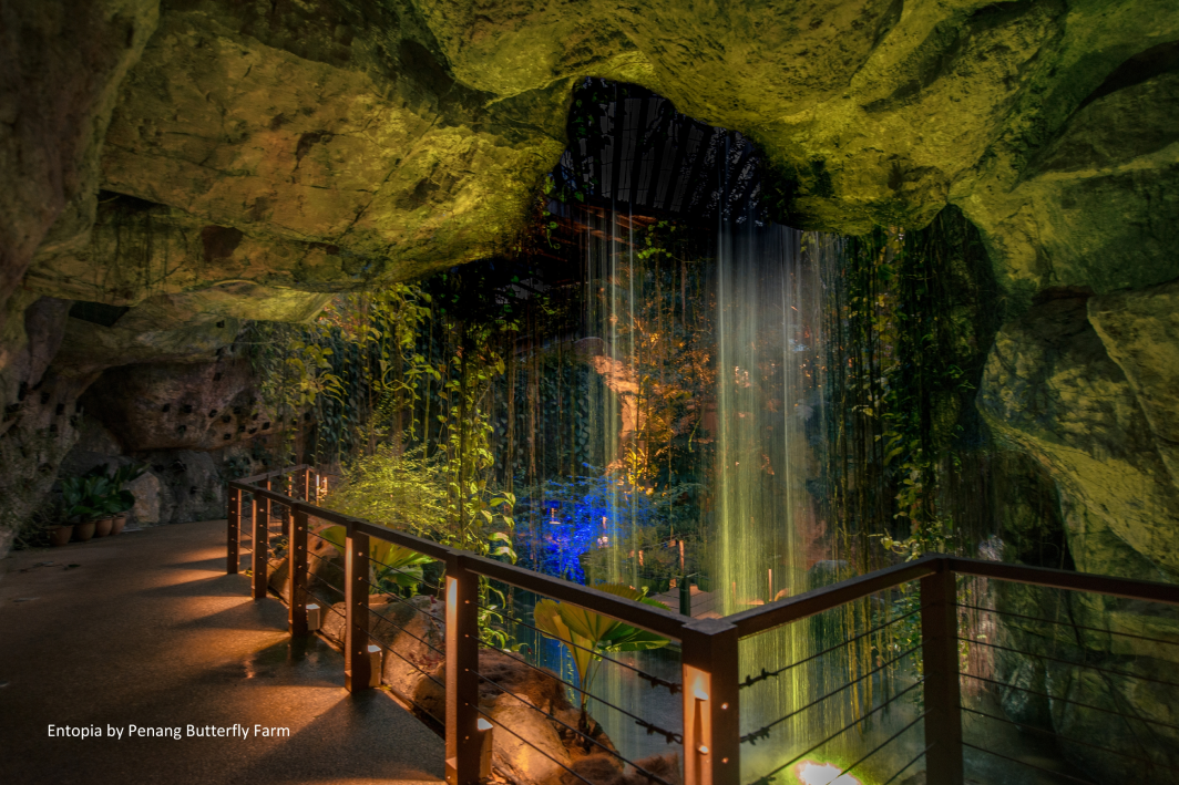 A railed walkway beside a lit waterfall inside the rock-walled section of the garden.