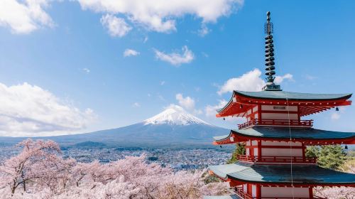 Mount Fuji Day Tour from Tokyo: Chureito Pagoda, Oshino Hakkai and Lake Kawaguchi (English Guide)