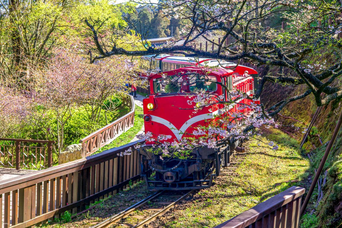 Taiwan High-Speed Rail Unlimited Pass