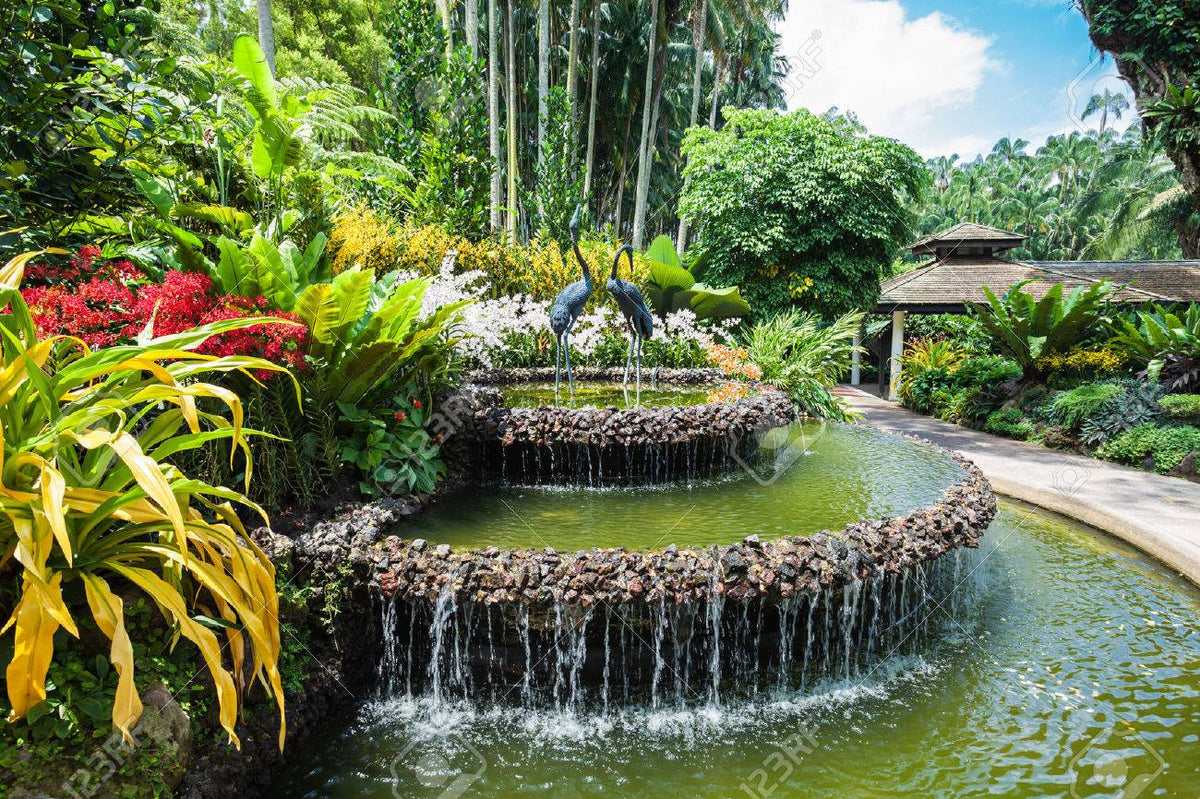 National Orchid Gardens