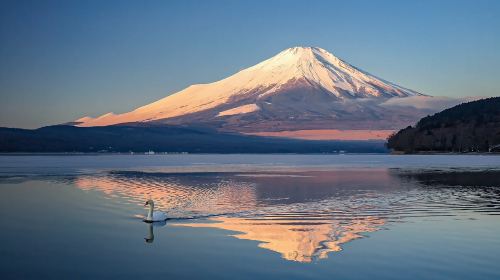 Mount Fuji Day Tour from Tokyo: Chureito Pagoda, Oshino Hakkai and Lake Kawaguchi (English Guide)