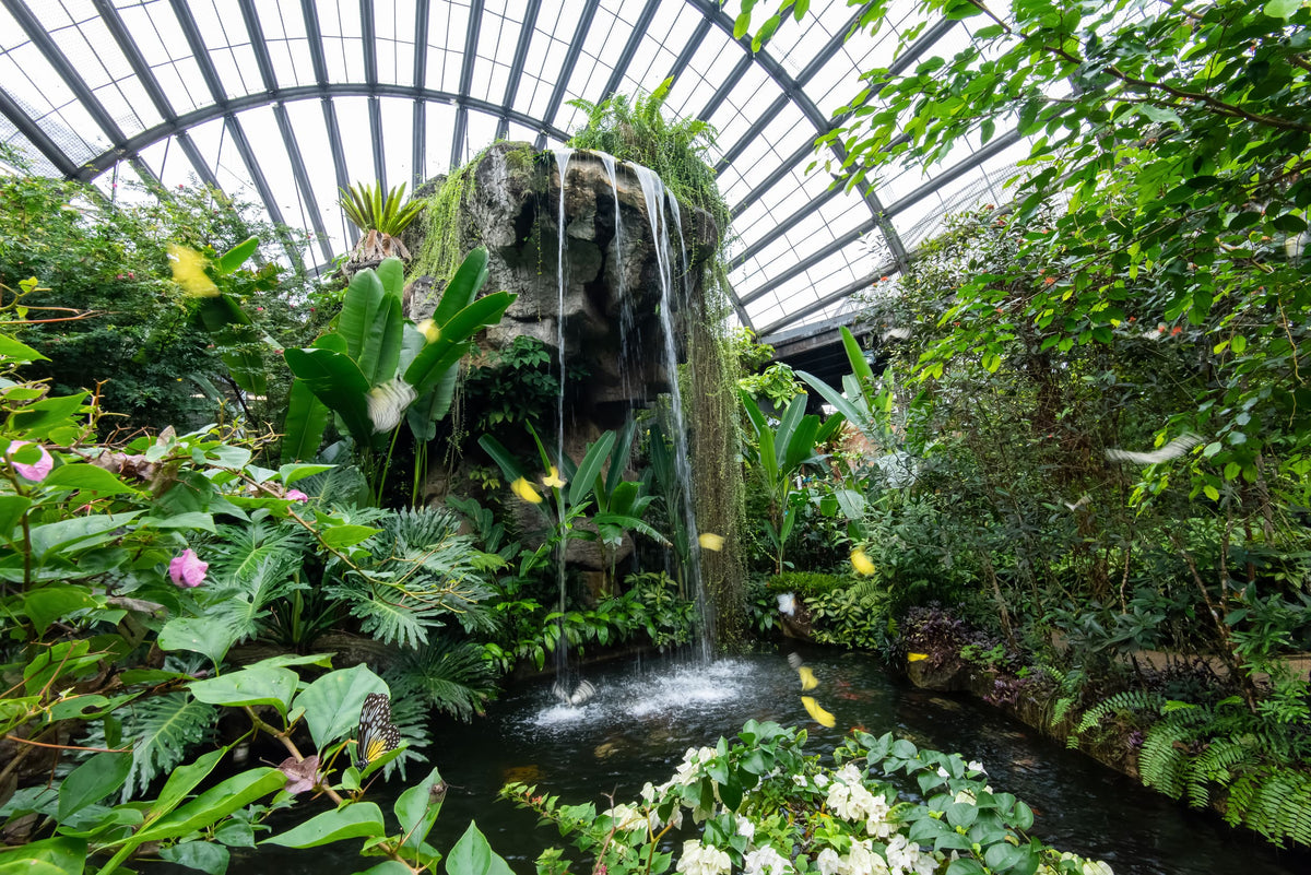 A waterfall spilling through the planting inside the garden, with yellow butterflies in flight.