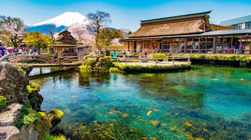 Fuji Five Lakes Day Tour from Tokyo: Lake Yamanaka, Oshino Hakkai, Lawson and Hikawa Clock Shop (English)
