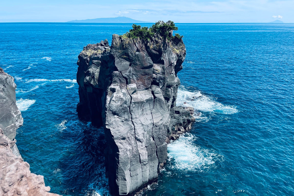 Izu Day Tour from Tokyo: Atami Coast Road, Mount Omuro and Jogasaki Coast (Chinese and Japanese Guide)