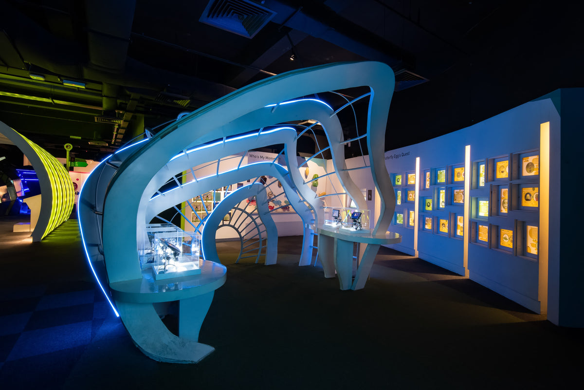 A blue sculptural display structure in the indoor Cocoon discovery centre.