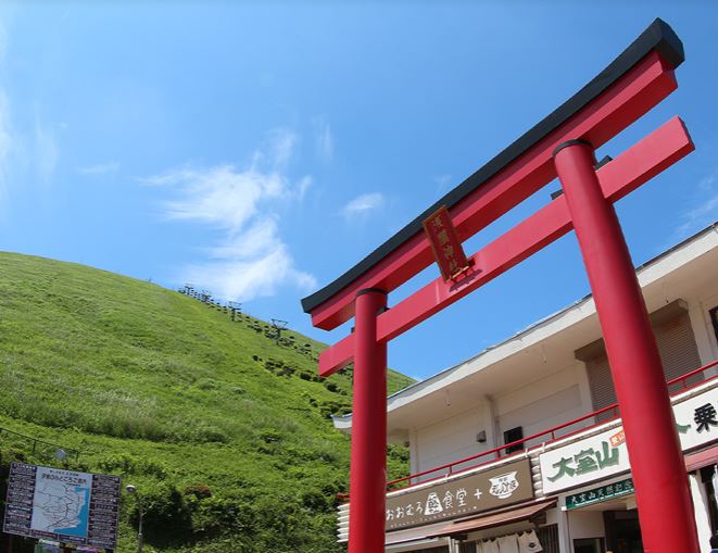 Izu Day Tour from Tokyo: Atami Coast Road, Mount Omuro and Jogasaki Coast (Chinese and Japanese Guide)