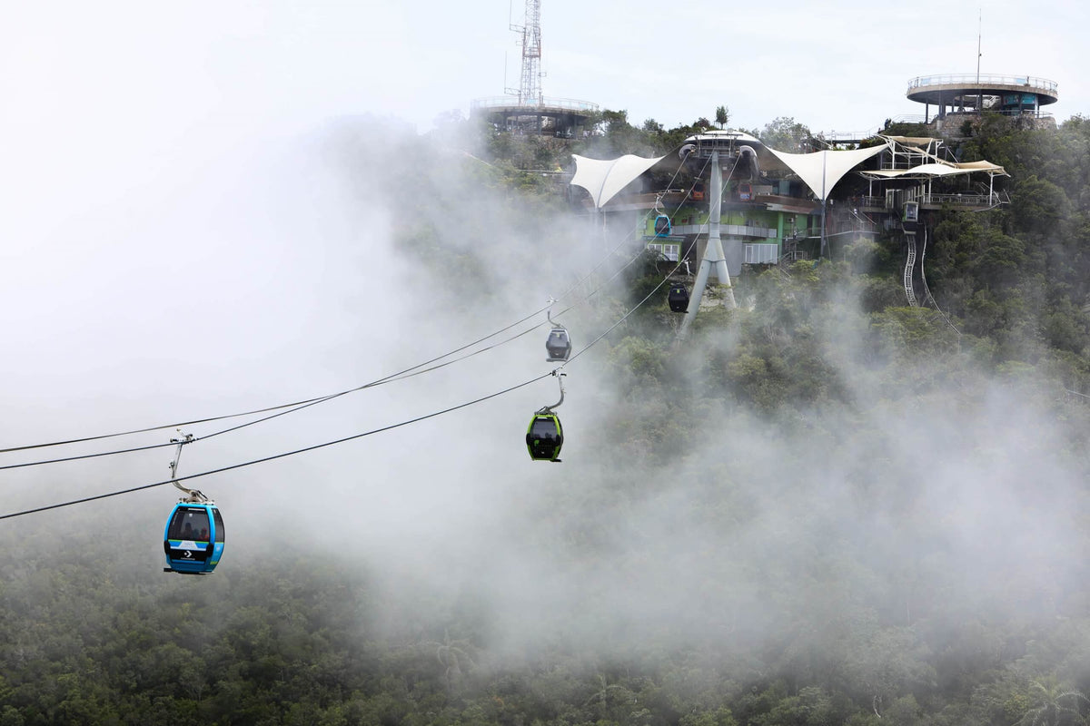 Gondolas crossing above the rainforest with the summit station half hidden in mist.