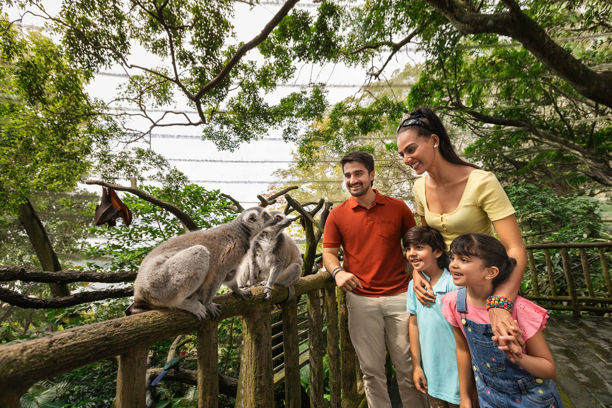 Singapore Zoo