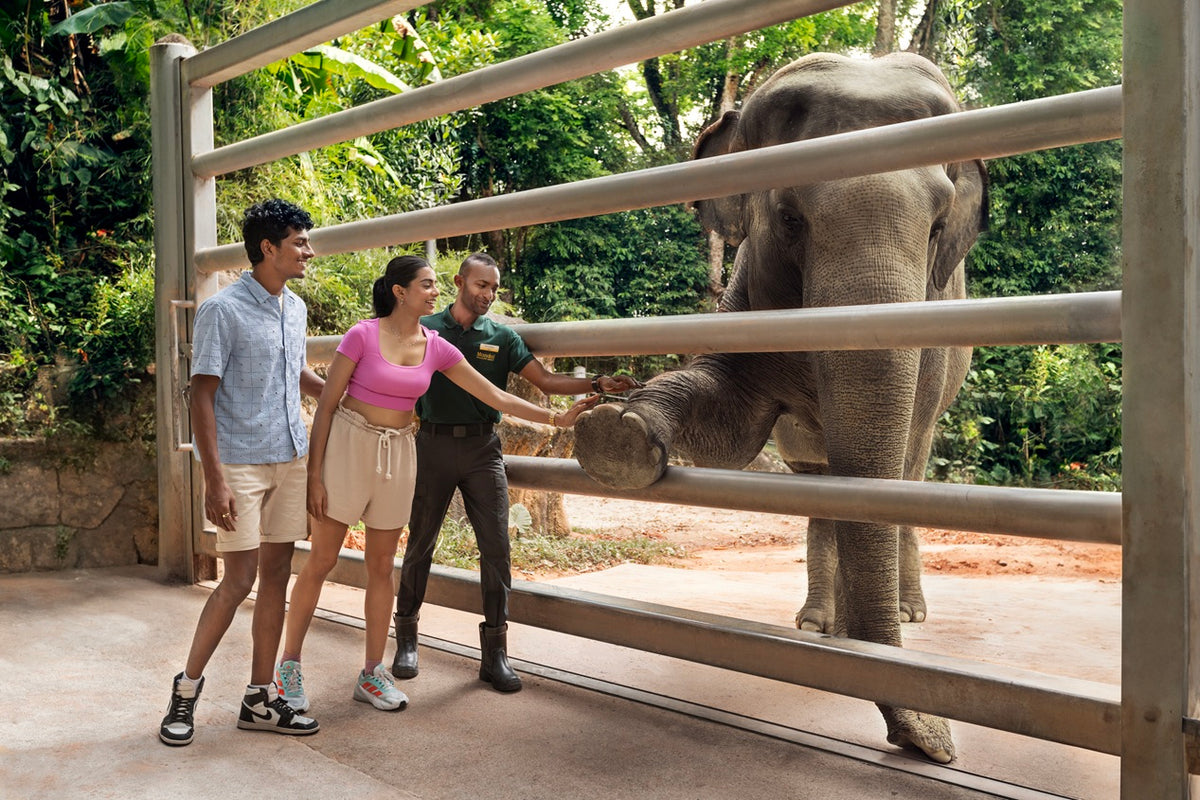 Singapore Zoo