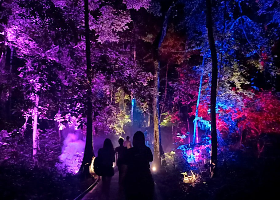 Silhouetted visitors on the trail between trees floodlit in magenta and blue.
