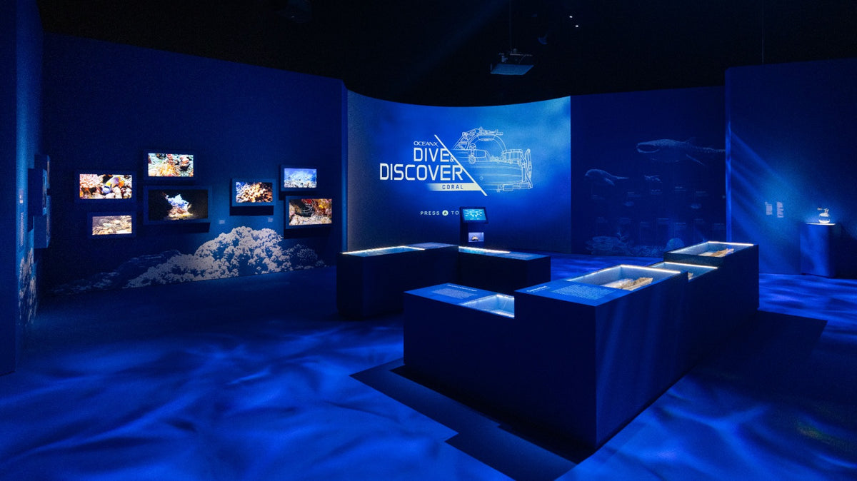 ArtScience Museum at Marina Bay Sands