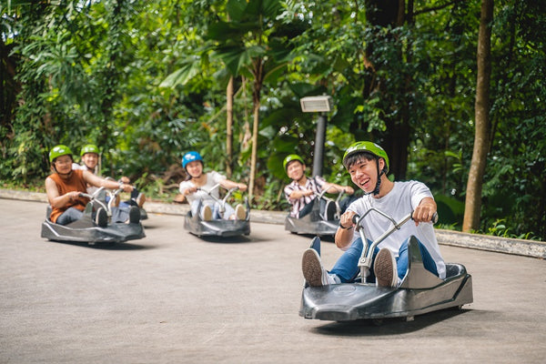 Skyline Luge Singapore 新加坡斜坡滑车与空中吊椅