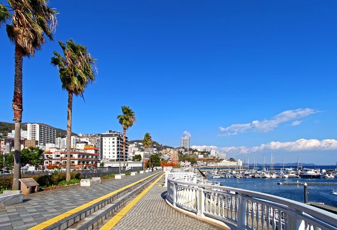 Izu Day Tour from Tokyo: Atami Coast Road, Mount Omuro and Jogasaki Coast (Chinese and Japanese Guide)