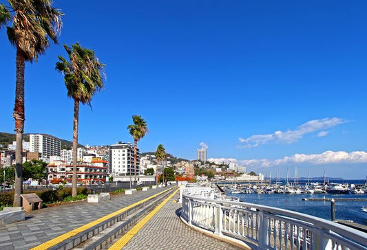 Izu Day Tour from Tokyo: Atami Coast Road, Mount Omuro and Jogasaki Coast (Chinese and Japanese Guide)
