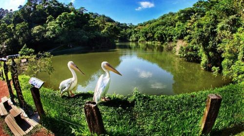 Green World Ecological Farm