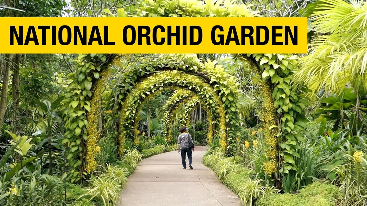 National Orchid Gardens