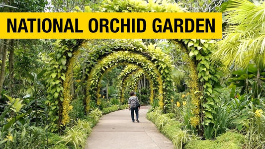 National Orchid Gardens