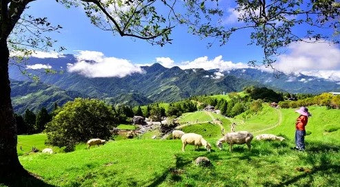 Qingjing Farm Admission Ticket (Non-Taiwan Residents)