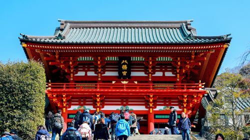 Yokohama nightscape + Slam Dunk Kamakura + Enoshima stroll|Japanese-style 1-day tour