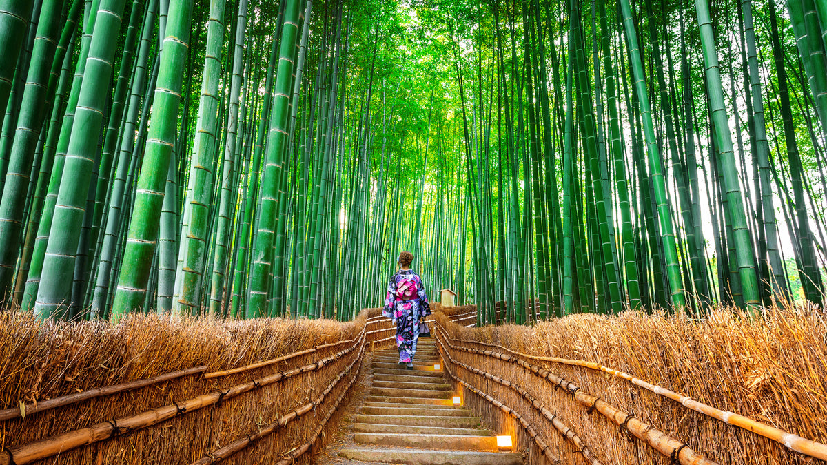 Kyoto, Nara, Fushimi Inari Shrine, Arashiyama Day Trip