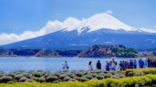 Fuji Five Lakes Day Tour from Tokyo: Lake Yamanaka, Oshino Hakkai, Lawson and Hikawa Clock Shop (English)