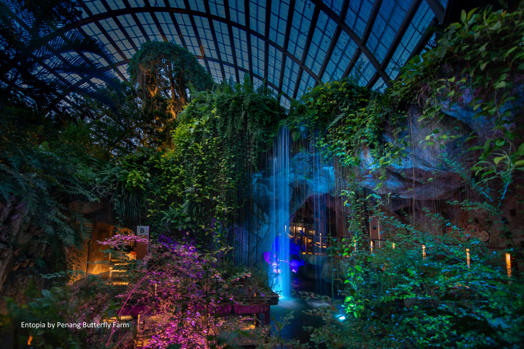 The glass-roofed conservatory at night, its waterfall and planting lit in blue, green and magenta.