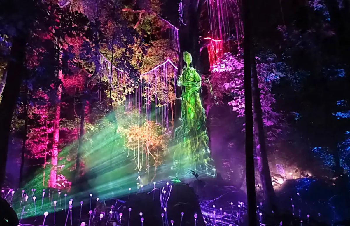 A green projected figure rising among the trees above a field of lit stems.