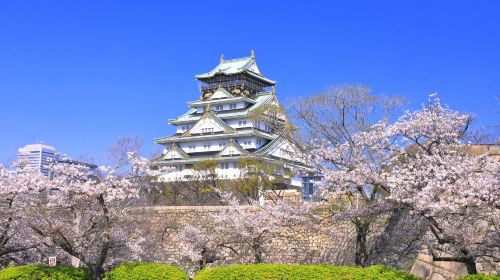 [Official Ticket] JR HARUKA Kansai Airport to Tennoji/Shin-Osaka/Osaka/Kyoto/Nara/Kobe Limited Express Ticket (Pick up at ticket machine on-site) Transport Passes