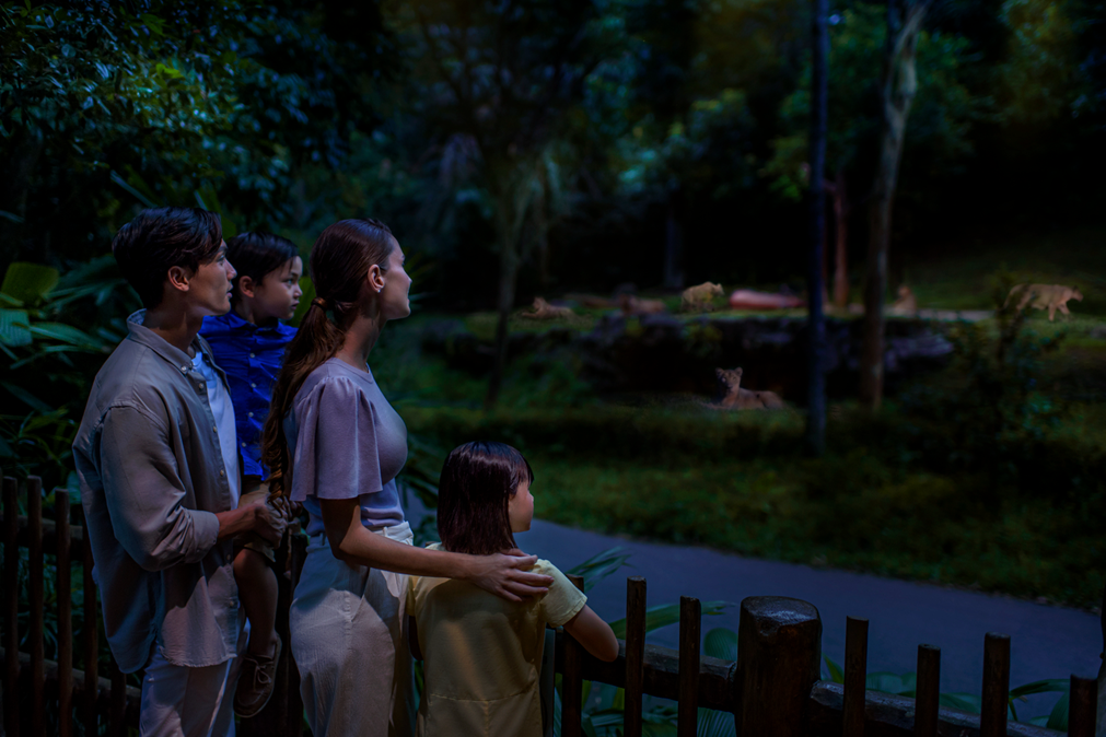 Family watching lions from the Leopard Trail lookout at Night Safari