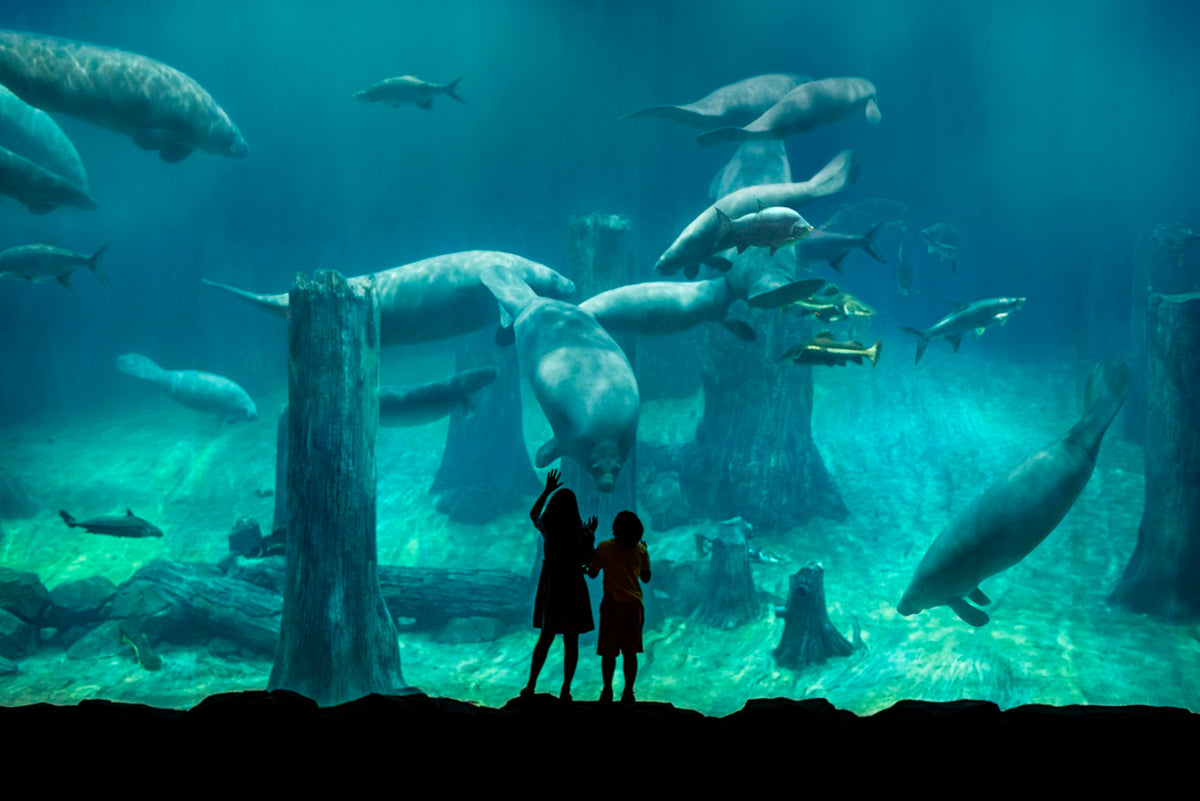 River Wonders