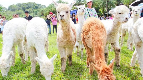 Green World Ecological Farm