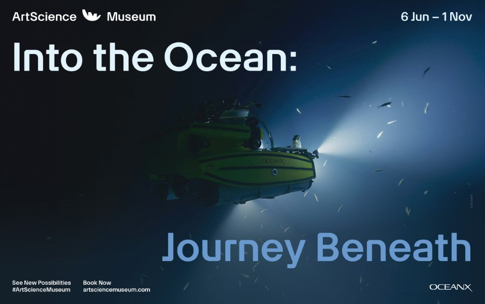 ArtScience Museum at Marina Bay Sands