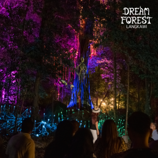 Visitors watching trees lit purple and blue on the Dream Forest night trail.