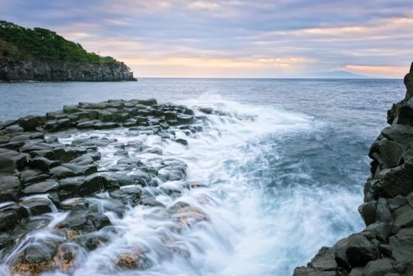 Izu Day Tour from Tokyo: Atami Coast Road, Mount Omuro and Jogasaki Coast (Chinese and Japanese Guide)