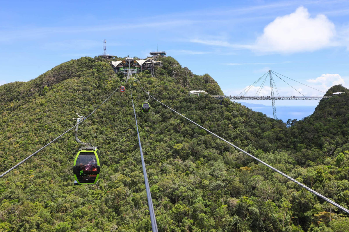 The cable car line running up the forested ridge, with the SkyBridge visible on the skyline.