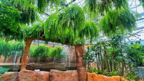 Lanyang Animal and Plant Kingdom