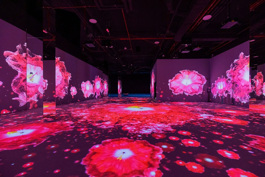 A hall with giant pink flowers projected across the walls and floor.